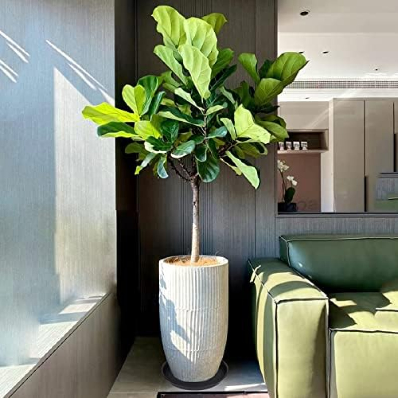 4 pièces de sous-plats en plas - Drip Tray Saucer avis et prix