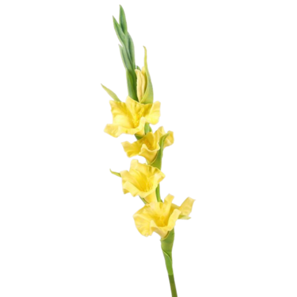 Branches de gladiolus artifici - Bonsai Garden Art avis et prix